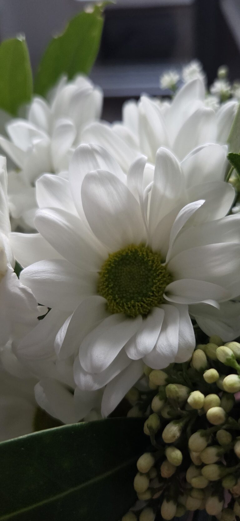 Spieszmy się kochać ludzi…